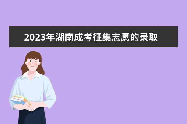2023年湖南成考征集志愿的录取结果已公布!(湖南教育考试院2020征集志愿)