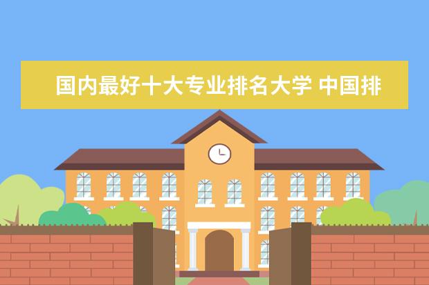 国内最好十大专业排名大学 中国排前十的大学