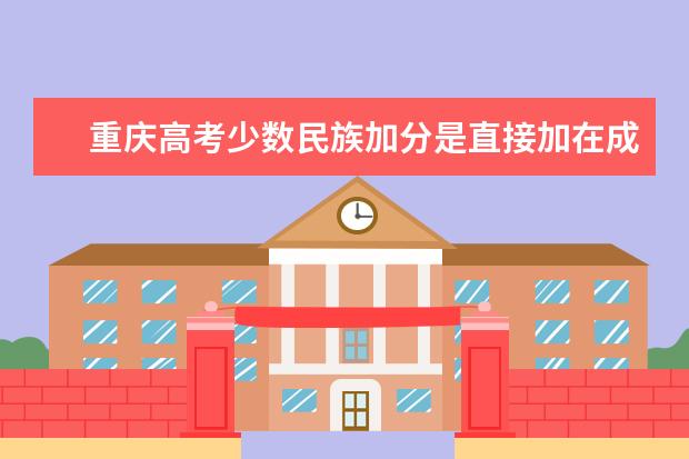 重庆高考少数民族加分是直接加在成绩单里还是在投档时加，但省内名次上升，什么叫做投档时加？