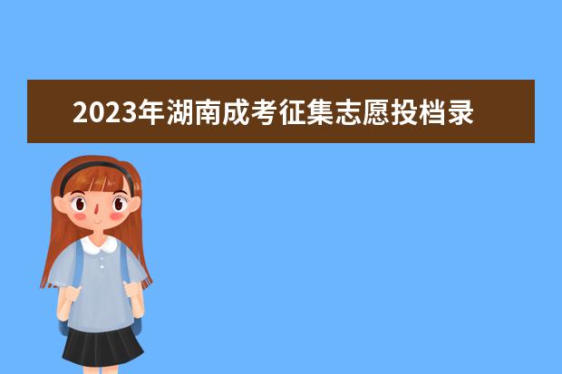 2023年湖南成考征集志愿投档录取是什么政策?