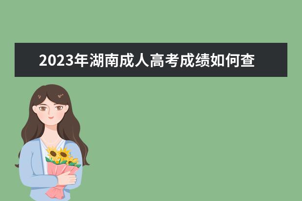 2023年湖南成人高考成绩如何查询
