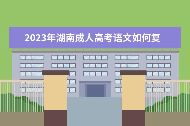 2023年湖南成人高考语文如何复习才能拿高分？(2020年湖南高考语文最高分)
