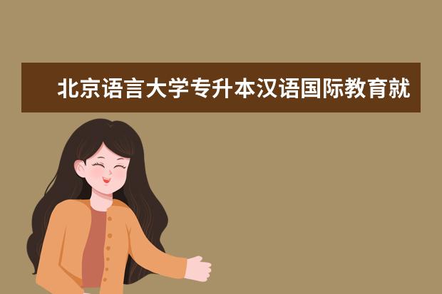 北京语言大学专升本汉语国际教育就业怎么样