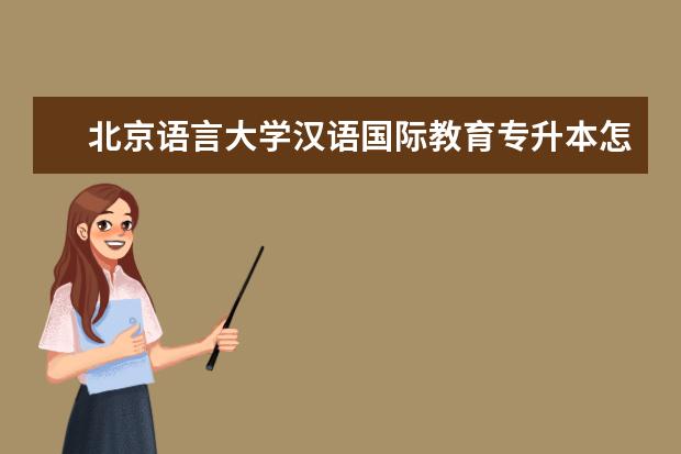 北京语言大学汉语国际教育专升本怎么样？