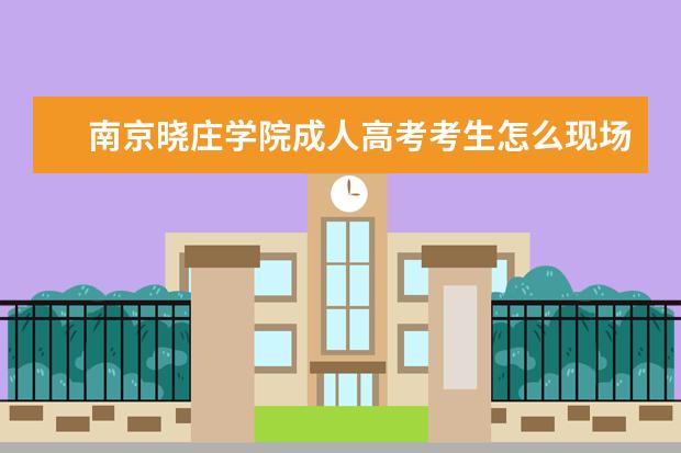 南京晓庄学院成人高考考生怎么现场确认？