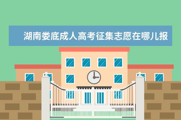 湖南娄底成人高考征集志愿在哪儿报 衡东县成人高考怎么填征集志愿