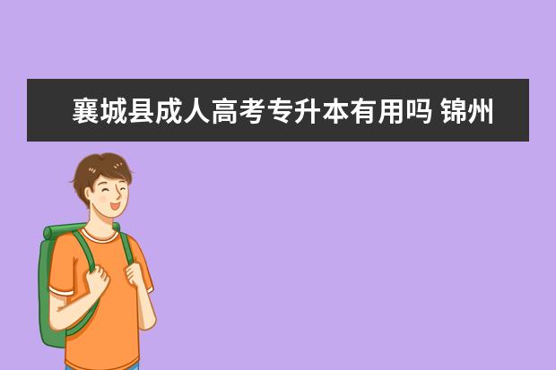 襄城县成人高考专升本有用吗 锦州成人高考专升本报考要求有哪些