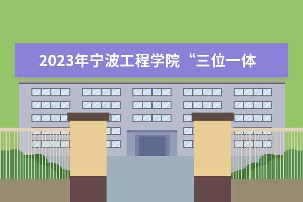 2023年宁波工程学院“三位一体”招生简章