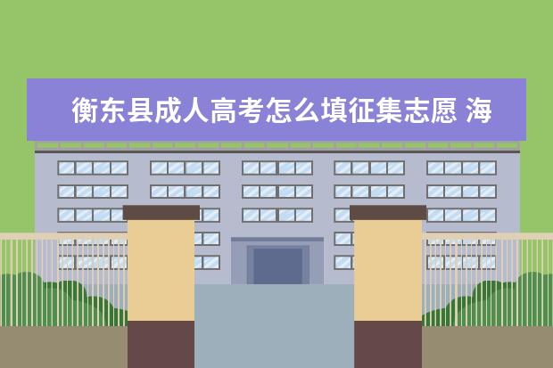 衡东县成人高考怎么填征集志愿 海珠区成人高考填报征集志愿的方式是什么