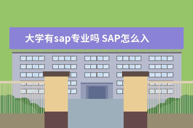 大学有sap专业吗 SAP怎么入行?刚毕业本科大学生可以从什么做起? - 百...