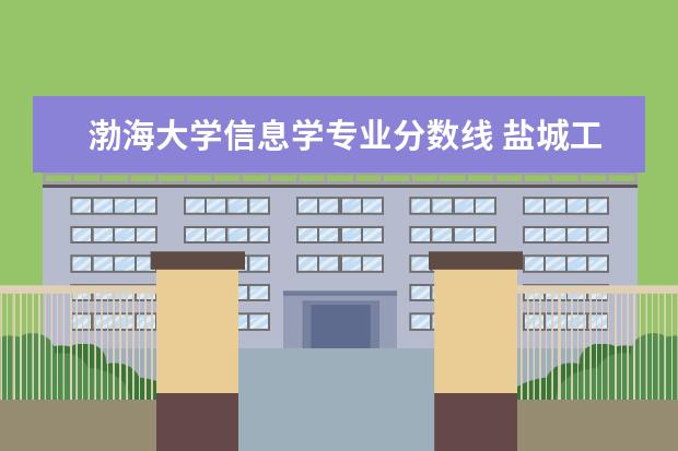 渤海大学信息学专业分数线 盐城工学院和徐州工程学院比较