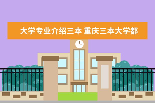 大学专业介绍三本 重庆三本大学都有些什么专业(文科)