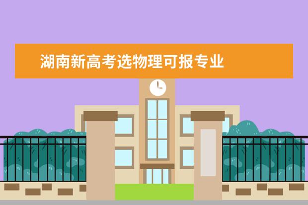 湖南新高考选物理可报专业 
  物理政治地理可选专业