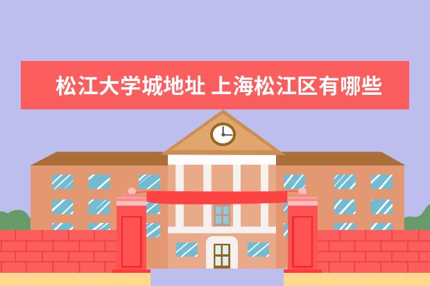 松江大学城地址 上海松江区有哪些大学?
