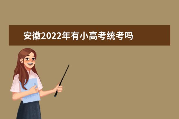 安徽2022年有小高考统考吗