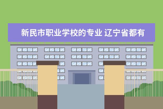 新民市职业学校的专业 辽宁省都有哪些专业技校之类的?