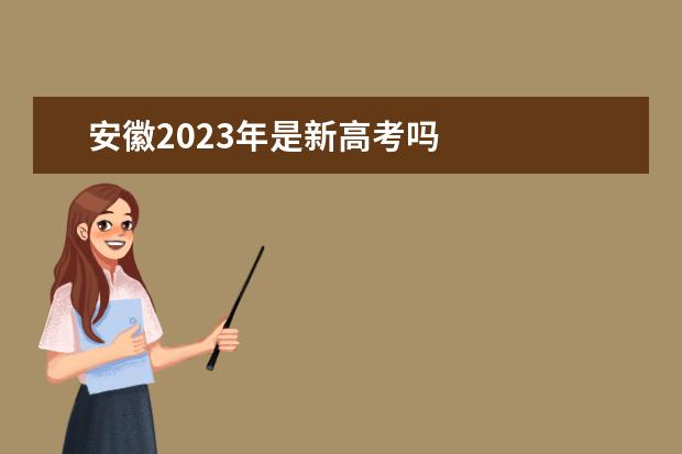 安徽2023年是新高考吗
