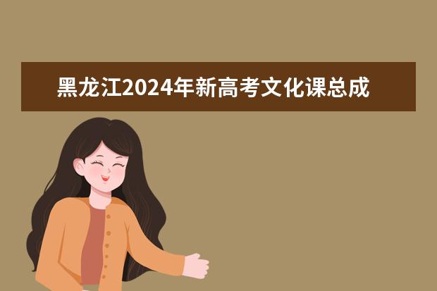 黑龙江2024年新高考文化课总成绩怎么算的
