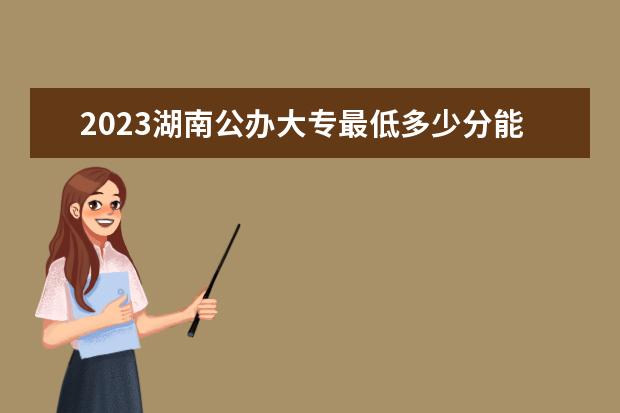2023湖南公办大专最低多少分能上