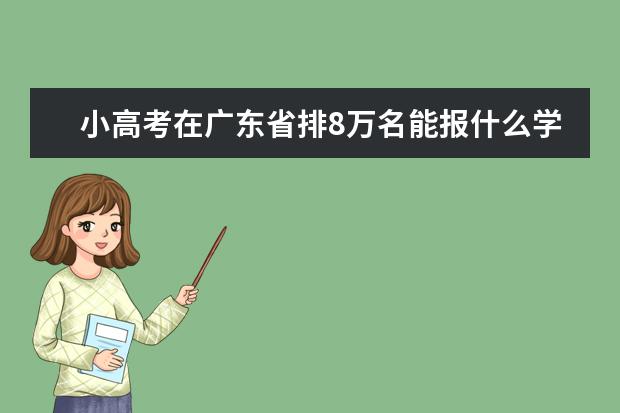 小高考在广东省排8万名能报什么学校？