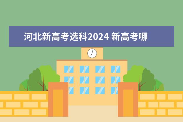 河北新高考选科2024 新高考哪几个省份2024？