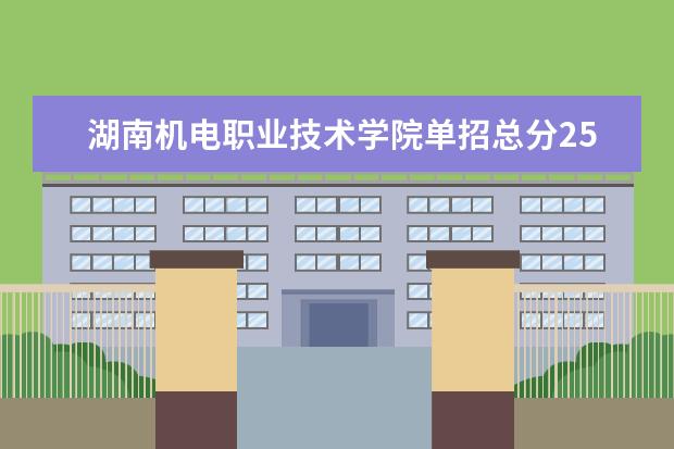 湖南机电职业技术学院单招总分250能被录取吗?